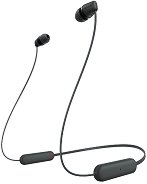 �������� Bluetooth �������� Sony WI-C100
