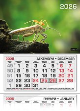 ������������ �������� - �������� 2026 - 