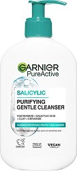 Garnier Pure Active Salicylic Purifying Gentle Cleanser - ��� ���