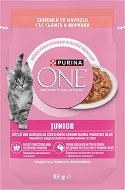 ���� �� ����� Purina ONE Junior - �����