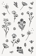    Heyda - 