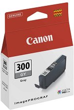    Canon PFI-300 Gray
