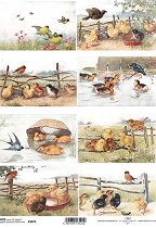 ��������� ������ ITD Collection - ����� � ������