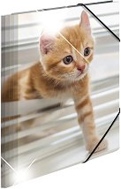 ����� � ������ HERMA - �����