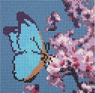   Grafix - 