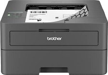 ������� ���������� ������� Brother HL-L2442DW