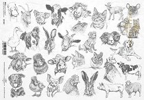 ��������� ������ ITD Collection - �������