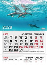 ������������ �������� - ������� 2026 - 