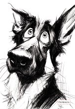 ��������-������ � 3 ������ - 