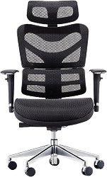   RFG Max - 