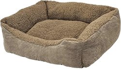 ����� �� ������ � ����� Nobby Teddy - �������