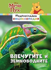 ������������ ������������ - ����� 6: ��������� � ������������ - �������